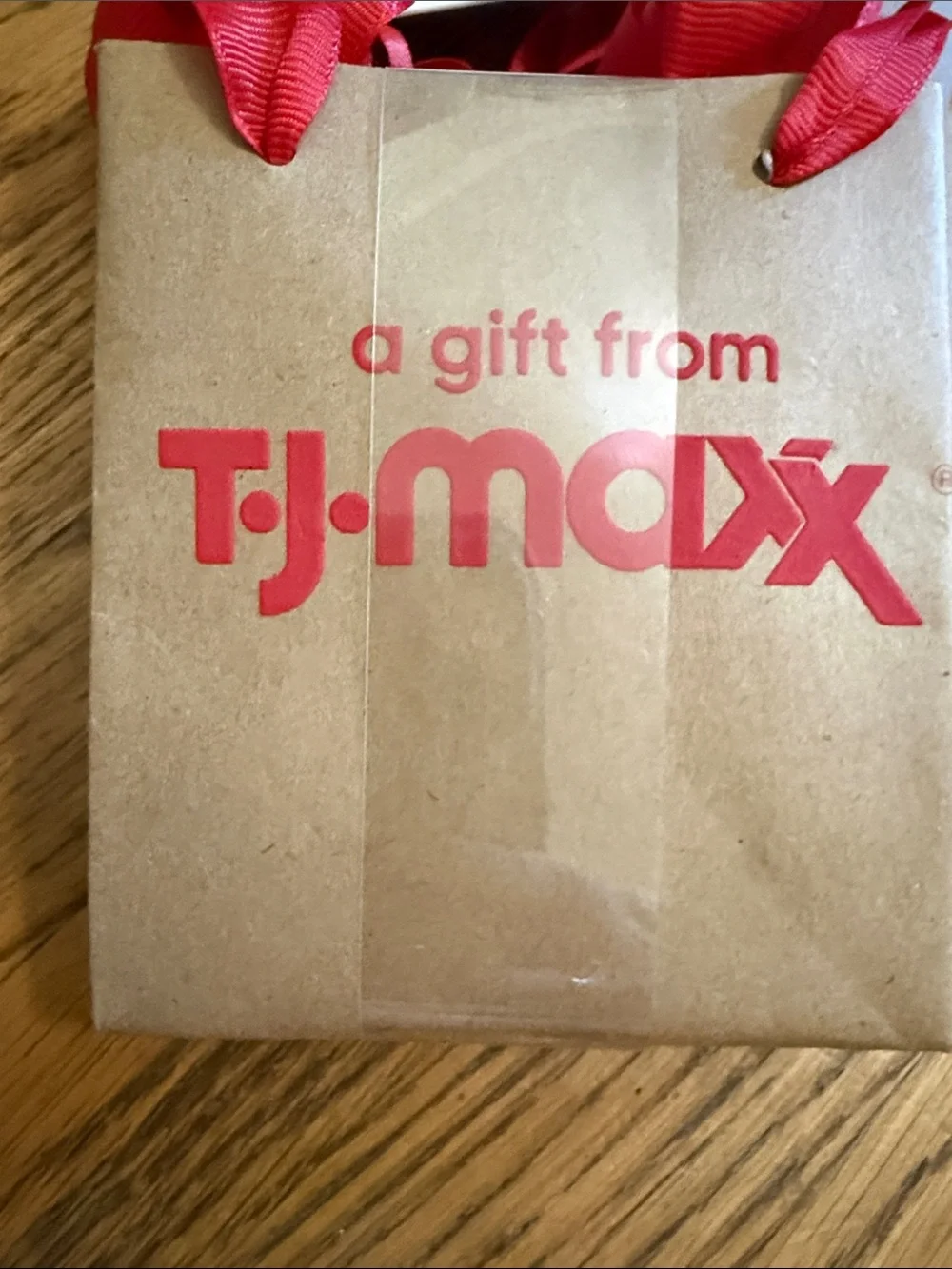 Tic Toc  Viral T.J.Maxx Mini Gift Bags with Red Logo & Red Ribbon Handles